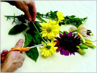 Cutting Flowers